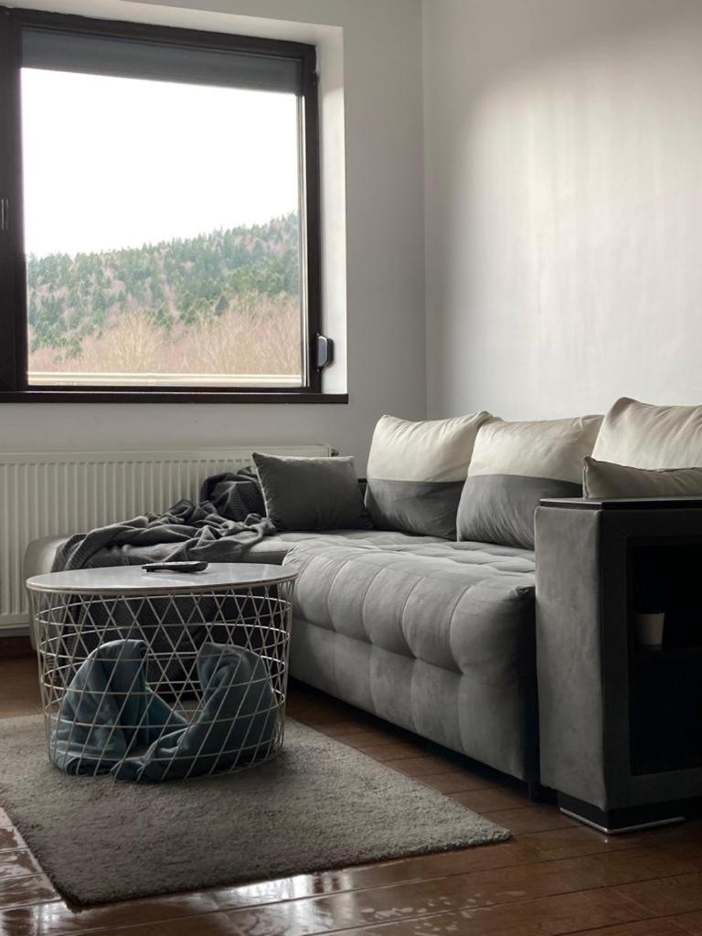 Relax View Ap With Private Parking Apartment Sinaia Ngoại thất bức ảnh